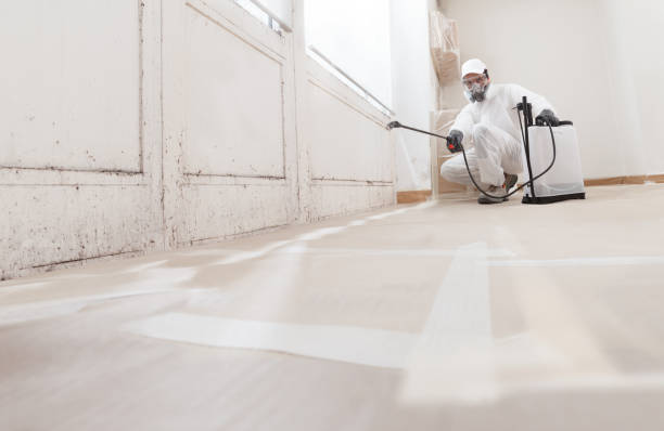 24/7 Emergency Mold Cleanup experts in Wellington, TX